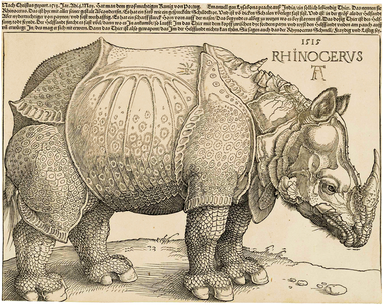   阿尔布雷特·丢勒Albrecht Dürer——素描与版画 (91)